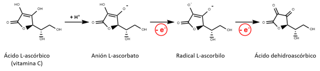 Nutribiolite Suplementos Complementos alimenticios suplementos alimentares Vitamina C y zinc vitamina C e Zinco Defensas Naturales Defesas Naturais