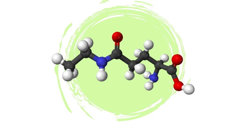 ONIT | Nutribiolite