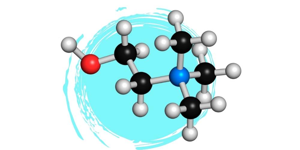 ONIT | Nutribiolite