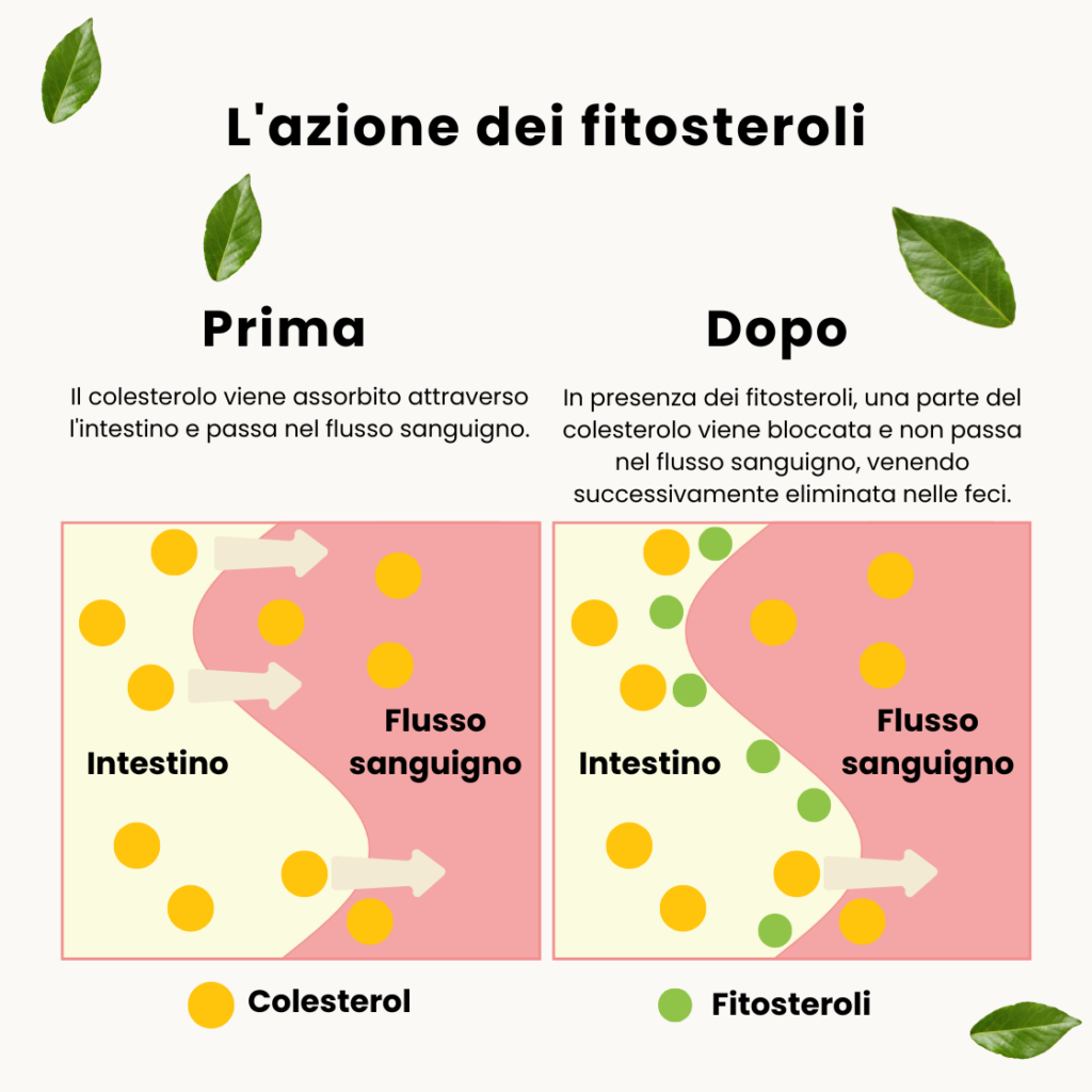 Nutribiolite Protecardio