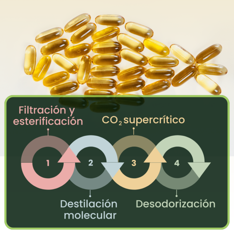 Omega 3 purificación ES