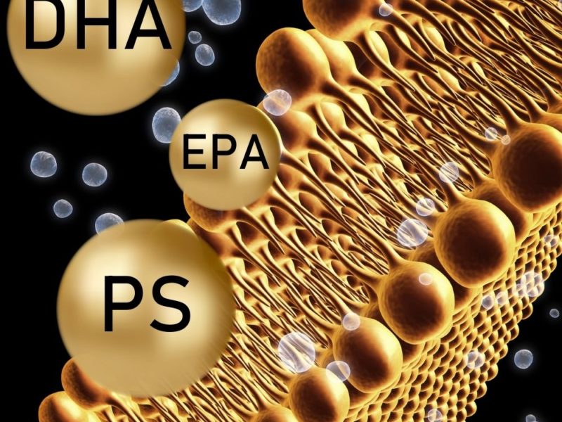 A importância do DHA e da fosfatidilserina para a saúde do cérebro e dos olhos