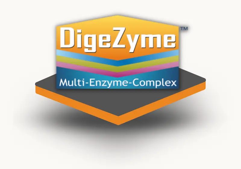 DigeZyme