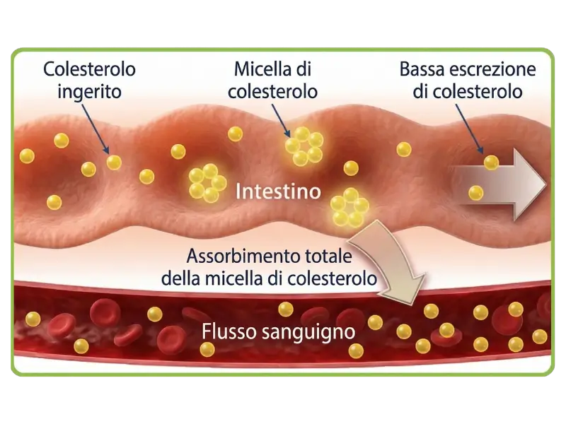 Protecardio Nutribiolite Fitosteroli
