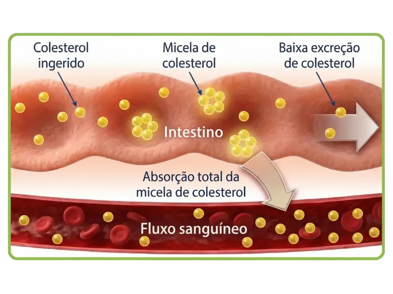Protecardio Nutribiolite Fitoesteróis Esteróis Vegetais