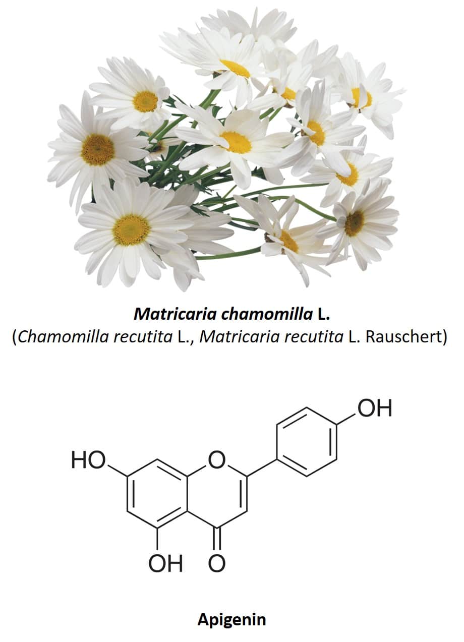 4Sleep Nutribiolite chamomile