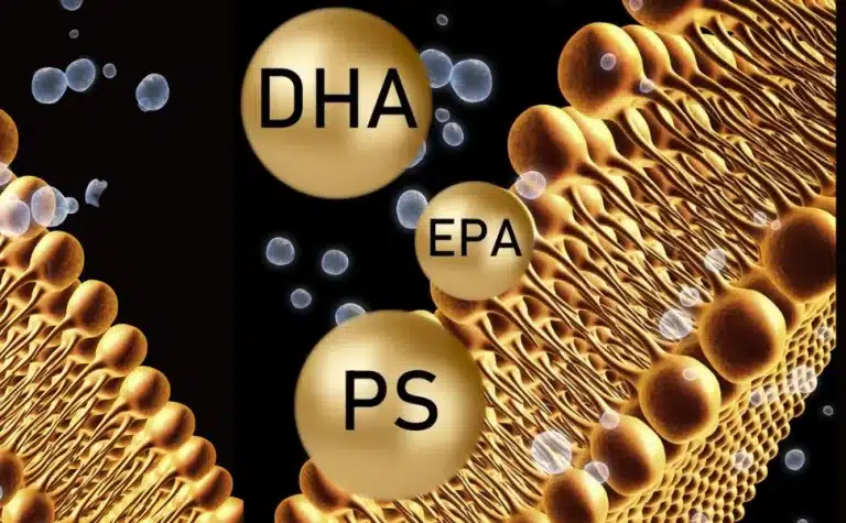 DHA e fosfatidilserina para a saúde do cérebro e dos olhos