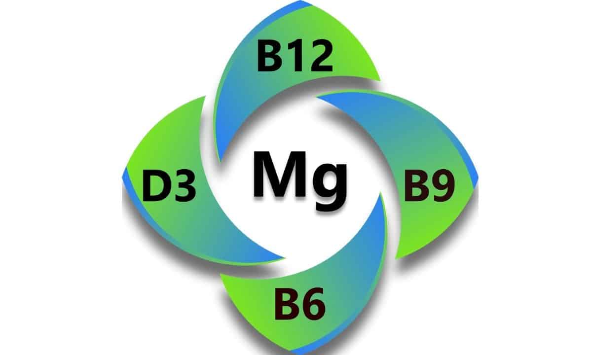 MAG-FUSION Nutribiolite magnesio