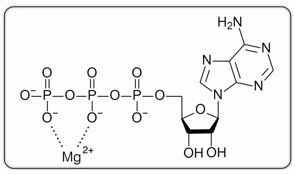 Nutribiolite | Suplementos y Vitaminas