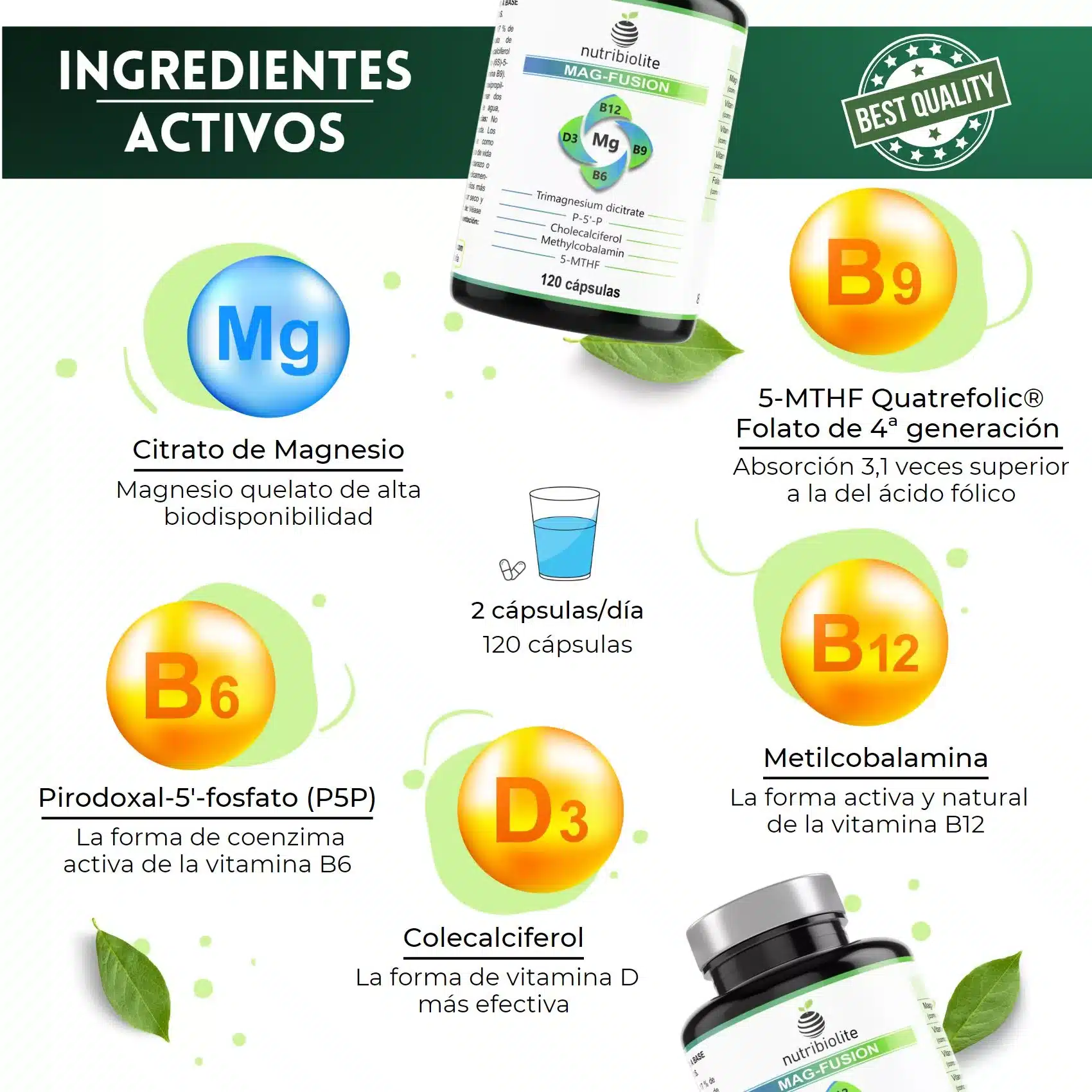 Magnesio con vitamina B6 y B12 homocisteína