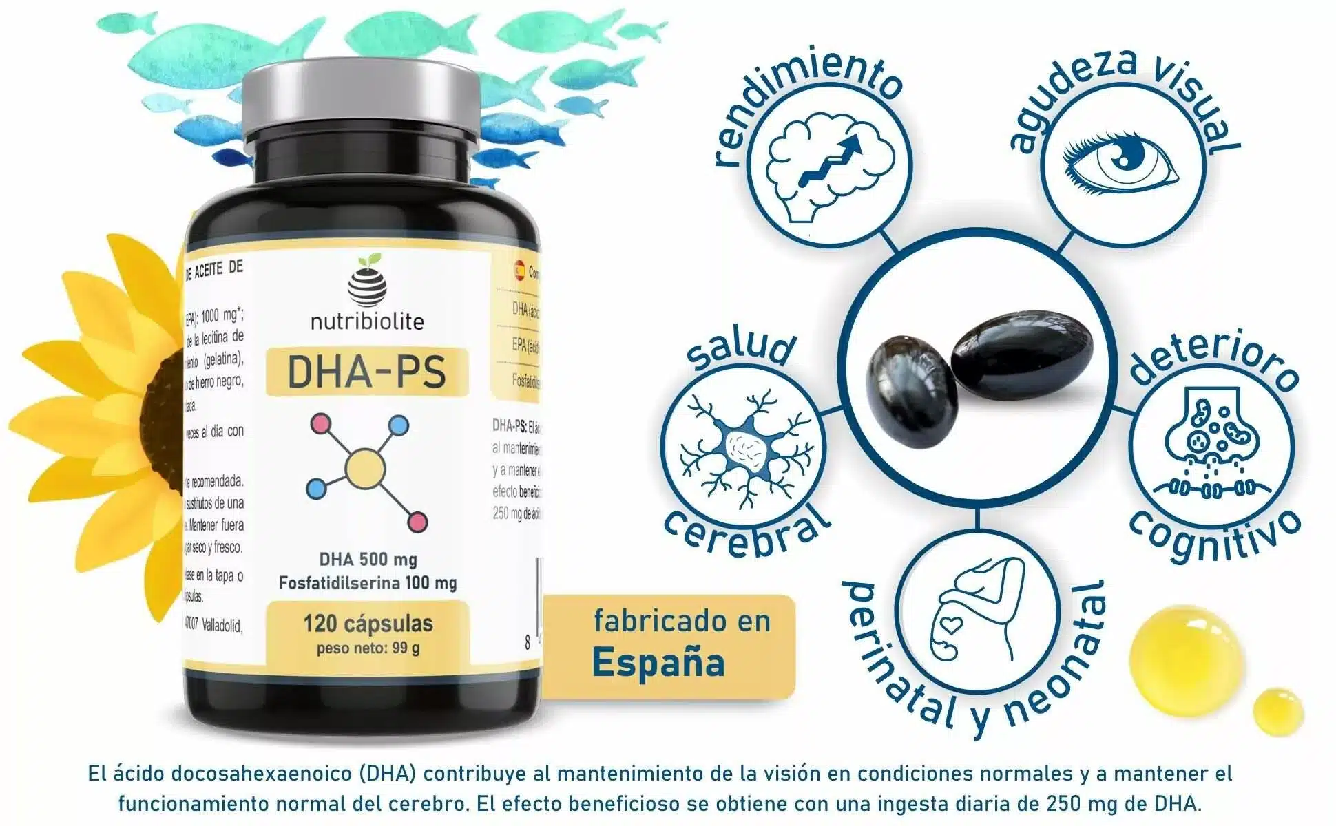 nutribiolite DHA PS DHA fosfatidilserina EPA salud cerebral salud del cerebro salud ocular salud de los ojos deterioro cognitivo embarazo saludable suplemento para embarazadas dha embarazo nutribiolite DHA PS DHA fosfatidilserina EPA salud cerebral salud del cerebro salud ocular salud de los ojos deterioro cognitivo embarazo saludable suplemento para embarazadas dha embarazo