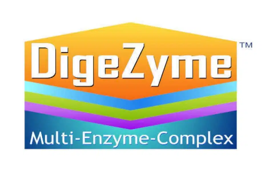 Digezyme