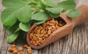 Nutribiolite fenugreek