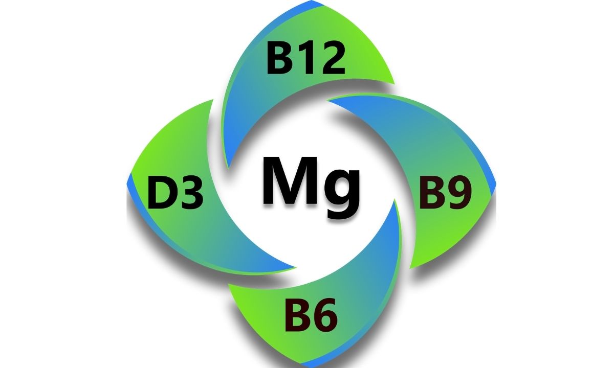 MAG FUSION Nutribiolite magnesio